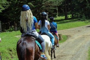 Nairobi: Kereita Forest Ziplining and Nature Walk Tour