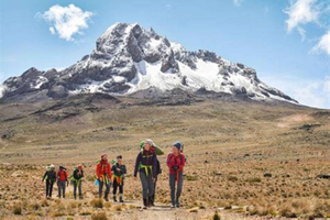 Nairobi: Dagsvandring på Mount Kenya med frokost