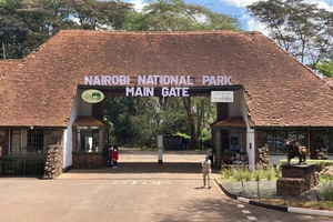 Nairobi: Ololua Ridge & Ngong Forest Guided Hike Tour