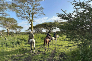 Nairobi: Sanctuary Horse Riding & Lake Naivasha Boat Ride