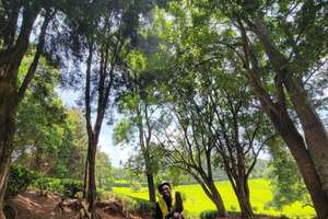 Nairobi: Tigoni Tea Plantations Tour with Hotel Pickup