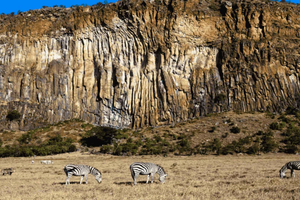Naivasha: Lake Naivasha Boat Ride & Hell’s Gate Cycling Tour