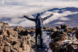 Private Mount Kilimanjaro Day Hike: Shira Plateau or Marangu