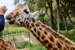 Samburu: Umoja Women's Village & Beading Workshop Tour