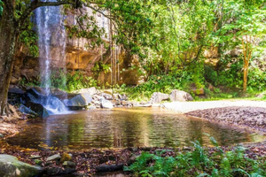 Safari de 1 día en la Reserva de Shimba Hills: desde Mombasa y Diani