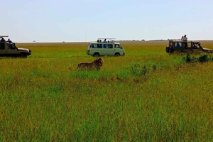 Tsavo East: Guided City Tour with Hotel Pickup