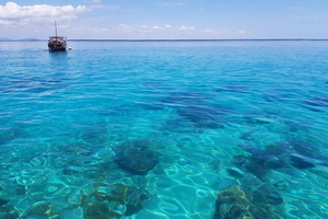 Diani Chale marina nationalreservat: Båttur med snorkling