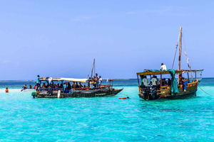 Wasini Island: Delfinspotting och snorkling vid Kisite Mpunguti