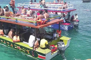 WATAMU,Snorkeling/dolphin spotting,seafood,mida creek cruise