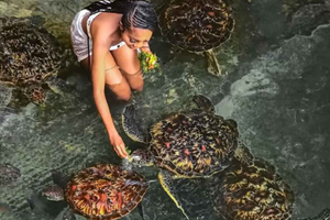 Zanzibar: Jozani Forest, Salaam Cave & Mtende Beach”