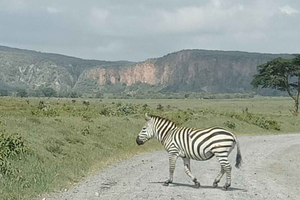 DAY TOUR- LAKE NAIVASHA AND HELL'S GATE PARK-WITH PARK FEES