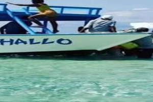 Diani: Glass-Bottom Boat, Snorkeling & Sandbank-Walk Tour