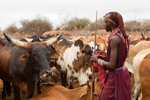 Kajiado: Maasai Cooking Class with Traditional Meal