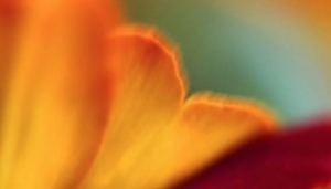 Karina Lynge - Personal Transformation