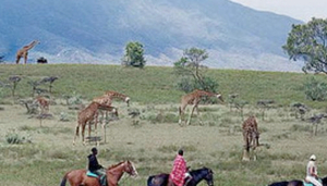 Longonot Ranch House