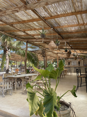 Lost Beach Club