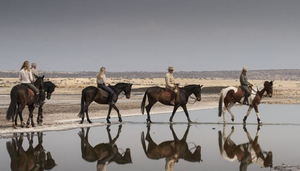 MALO Stables