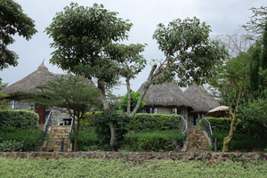 Nyati Hill Cottages