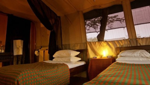 Nyumbu Camp