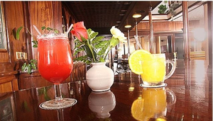 Safari Terrace Bar