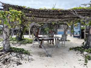 Safina Beach ( Robbie Rasta Safari )