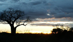 Suntrek Safaris