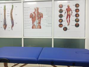 Triggerpoint_fascia_wellness - sports therapy and medical massage parklands, Nairobi