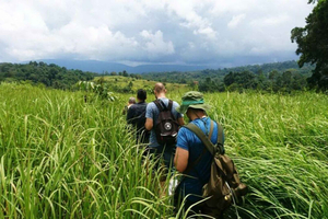 Bangkok : Khao Yai Nature Trails & Heaw Suwat Waterfall (en anglais)