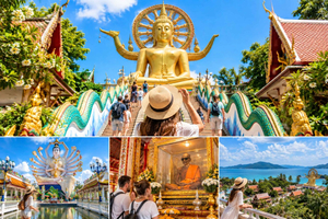 Big Buddha & Temple Cultural Tour