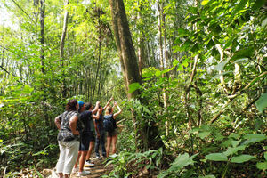 Khao Sok: escursione di mezza giornata da Khao Lak