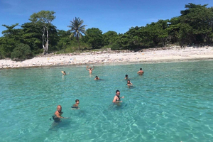 Ko Samui: Halbtägige private Schnellboot-Tour zur Schweineinsel