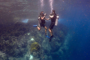 Koh Samui: Entdeckungstauchgang nach Koh Tao oder Sail Rock