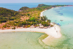 Koh Samui: Excursión de un día a la Isla del Cerdo en lancha rápida