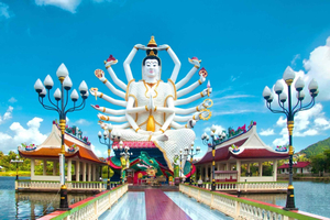 Koh Samui: Private geführte Inseltour