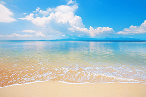 Koh Samui: Private Half-day Taxi Tour in the North