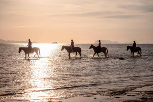 Koh Samui: Reiten bei Sonnenuntergang am Strand
