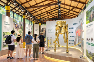 Museum, Dschungelspaziergang & Naturschutz mit Guide