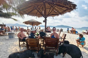 Pig Island ja Koh Tan -snorklaus sekä vaellus näköalapaikalle