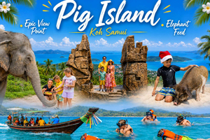 Ko Samui: Wyspa Świń, snorkeling, kot lub słoń, niesamowity punkt widokowy