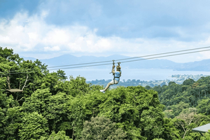 Private Tour mit Geländewagen-Safari-Truck, Baumbrücke und Zipline