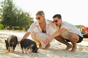 Private Pig Island & Koh Taen Luxury Tour