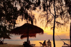 Samui: Half-Day Pig Island Snorkel Adventure & Sunset Dinner