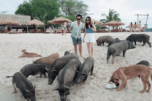 Samui: Pig Island Private Luxury Longtail Boat Tour