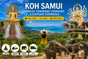 tour de templos, mirador y santuario de elefantes