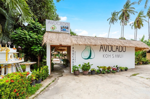 Avocado Samui Resort