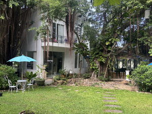 Banyan House Samui bed and breakfast