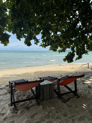 Bikini bar & bistro
