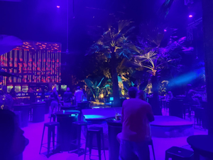 Forest in Town (FiT Club.)
