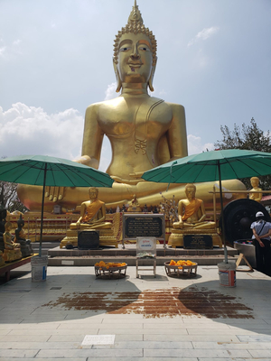 Mr. Samui - Tours, transport & activities