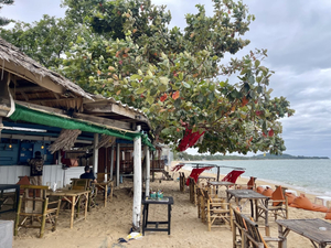 Nature Bar